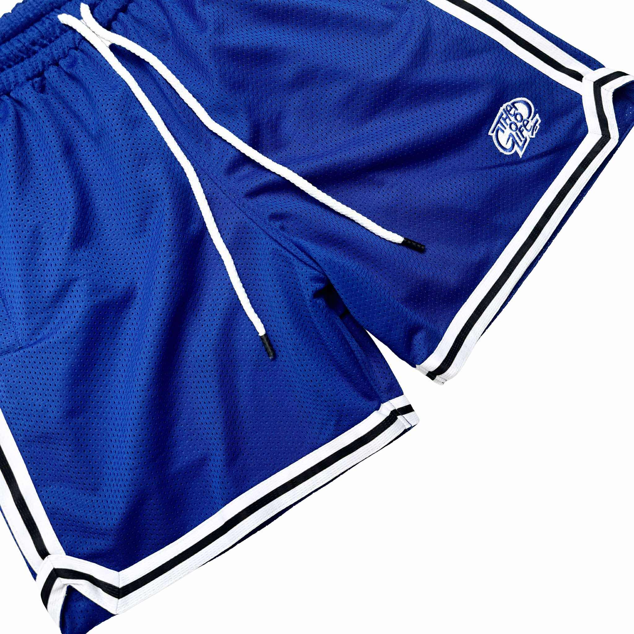 HOOPLINE (BLUE) MESH SHORTS