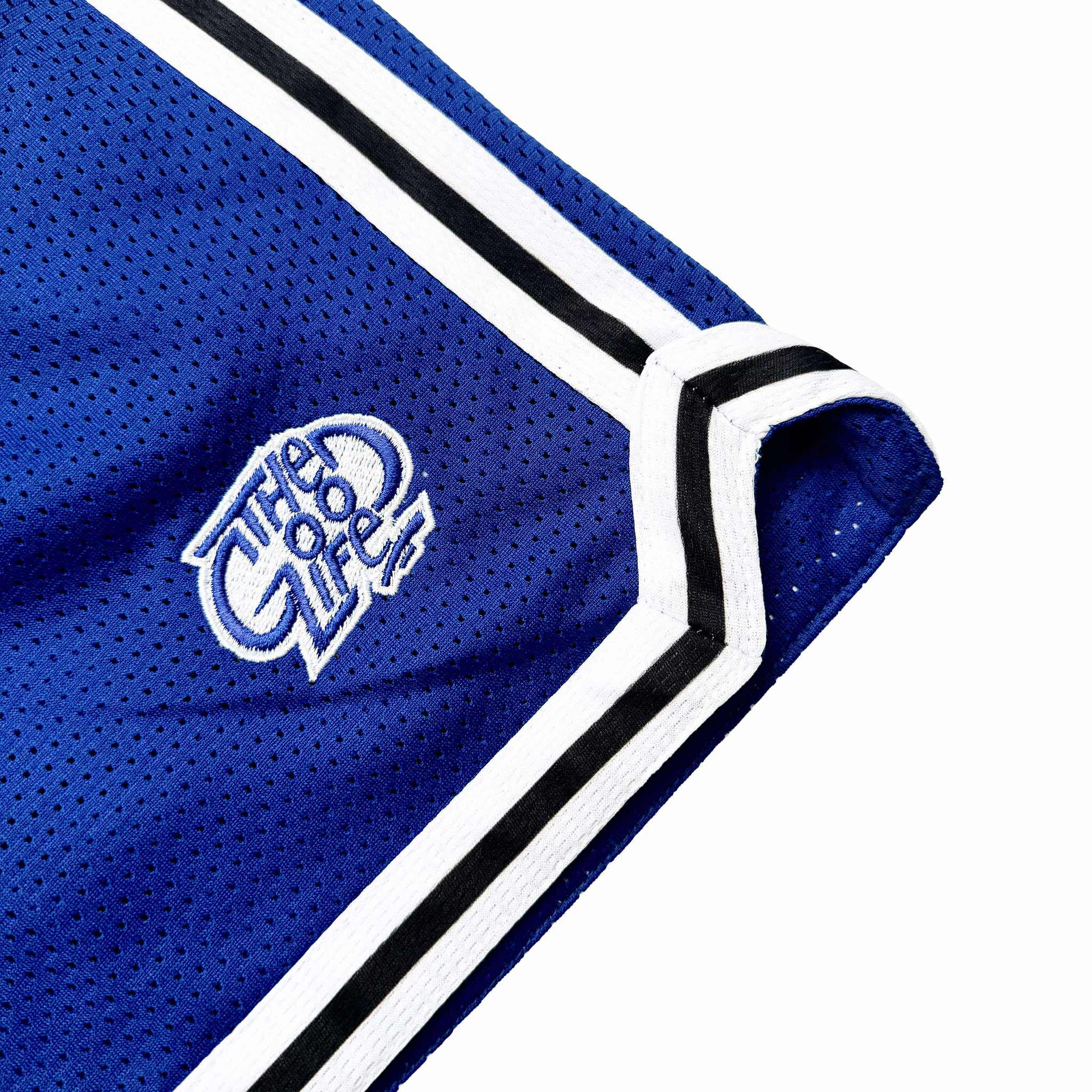 HOOPLINE (BLUE) MESH SHORTS