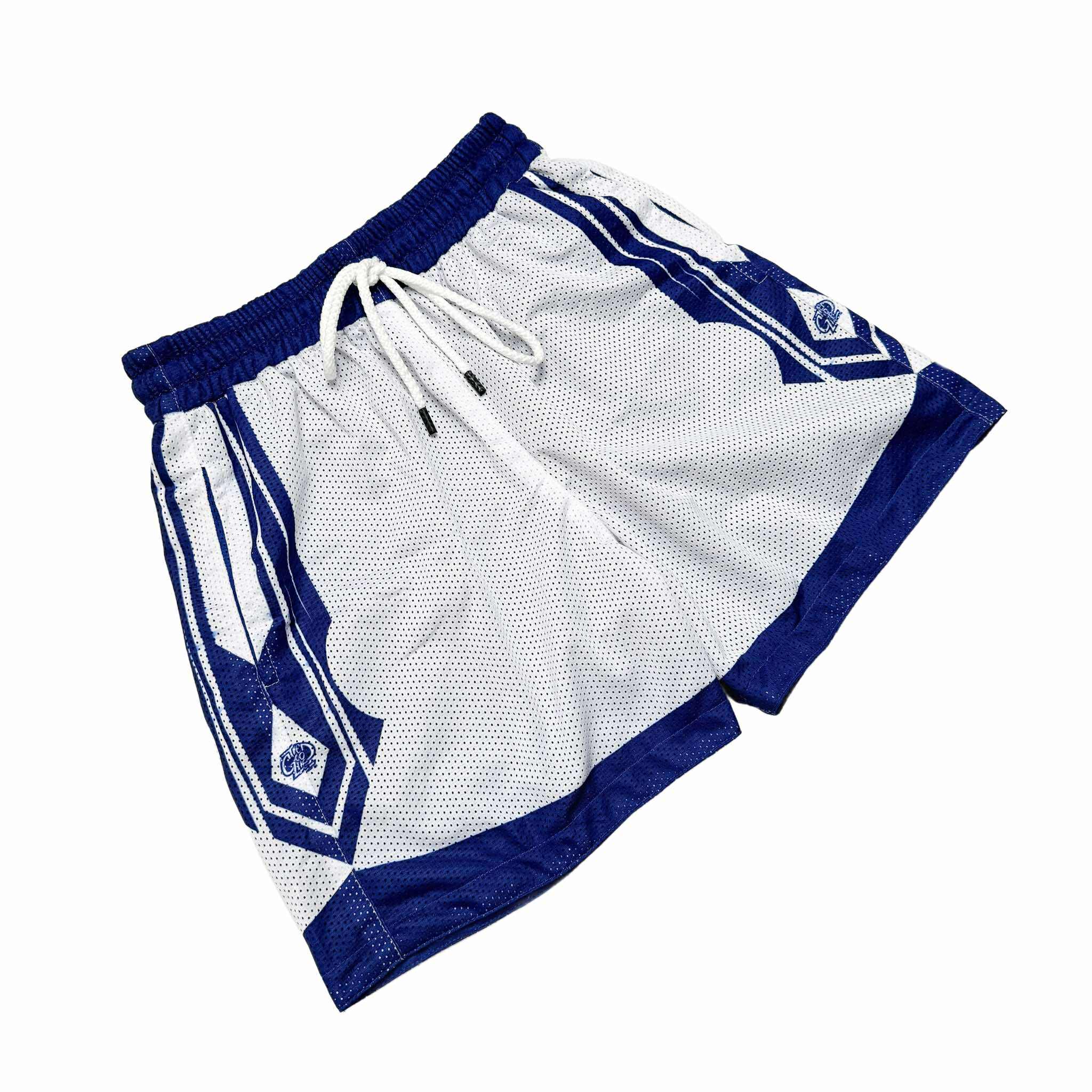 SPEAR V2 (BLUE) MESH SHORTS