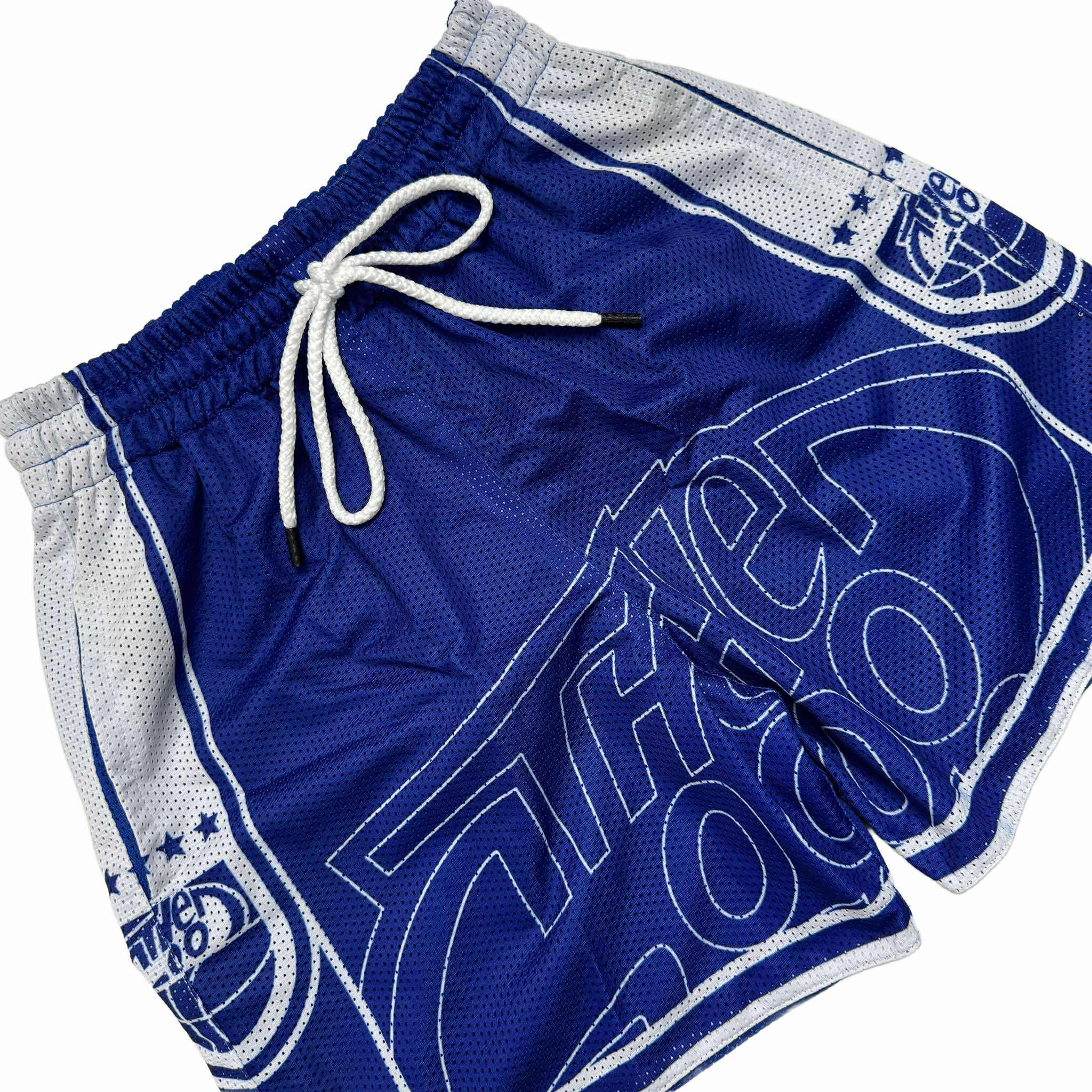 SPLIT LOGO (BLUE) MESH SHORTS