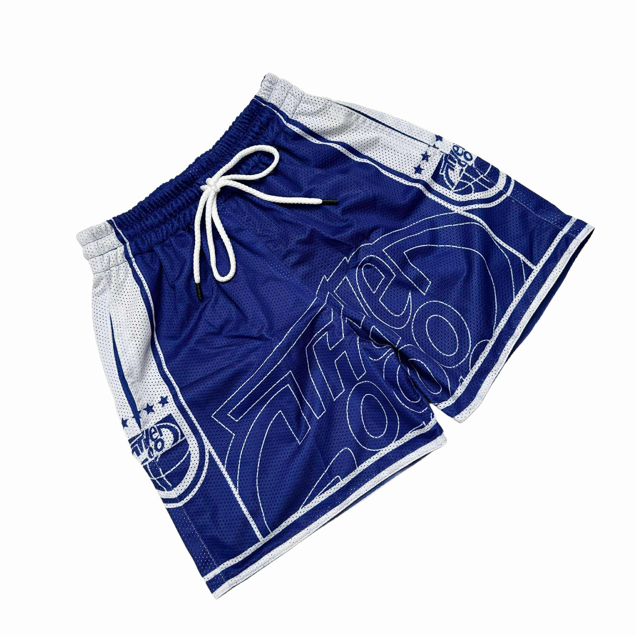 SPLIT LOGO (BLUE) MESH SHORTS