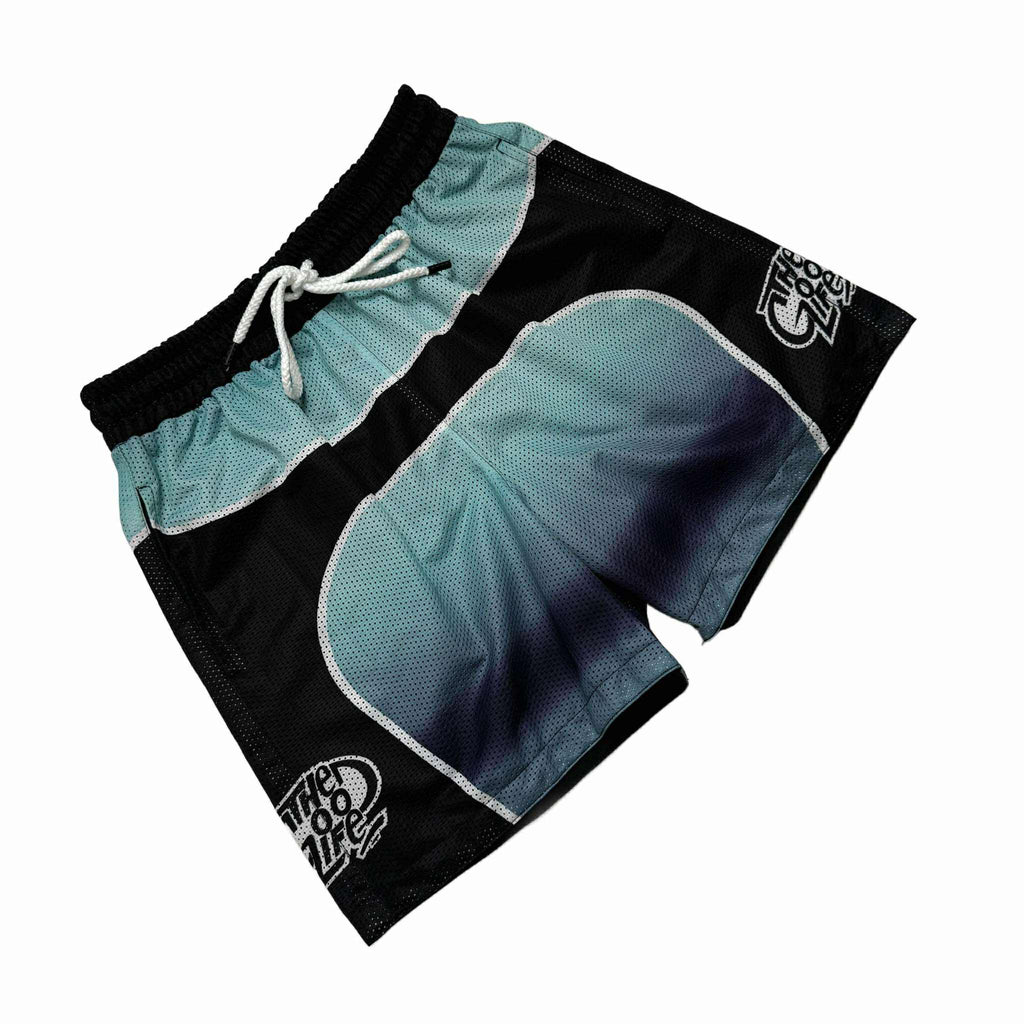 GRADIENT (MINT) MESH SHORTS