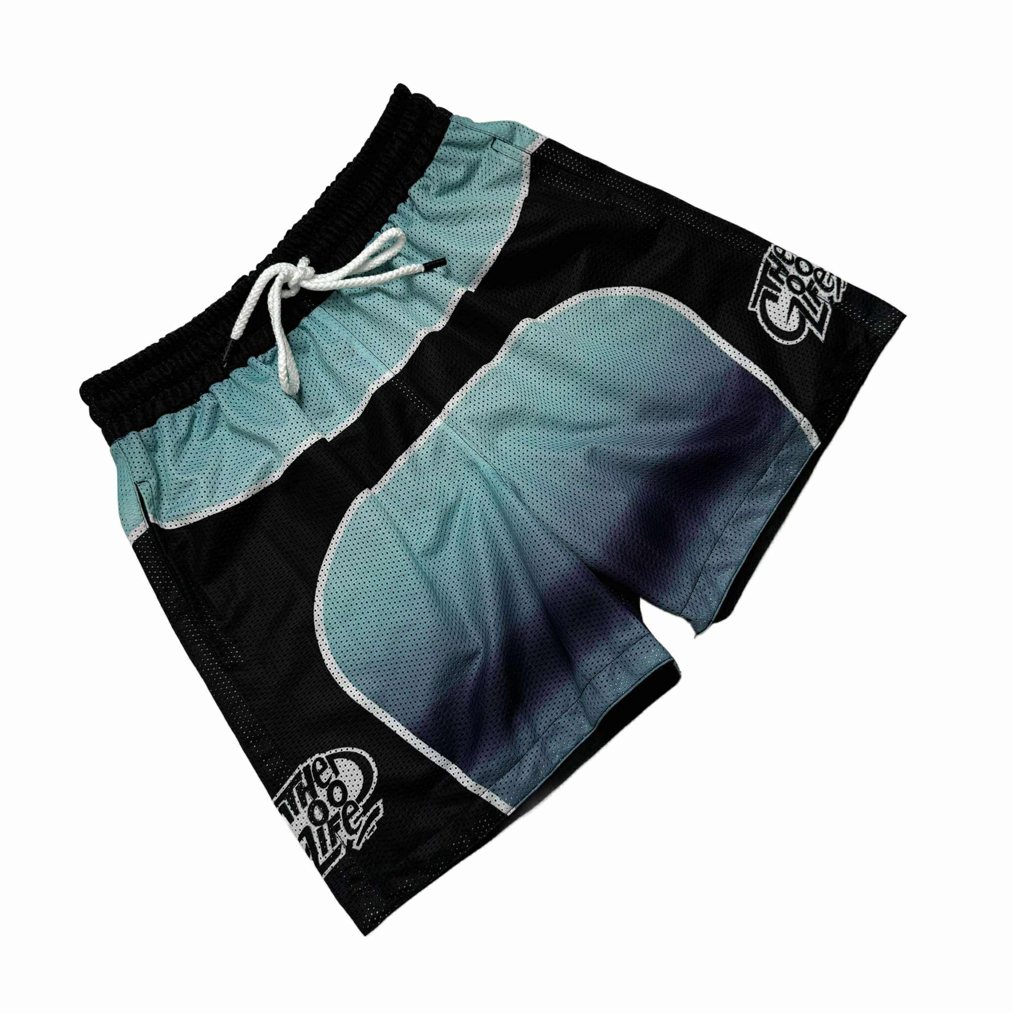GRADIENT (MINT) MESH SHORTS