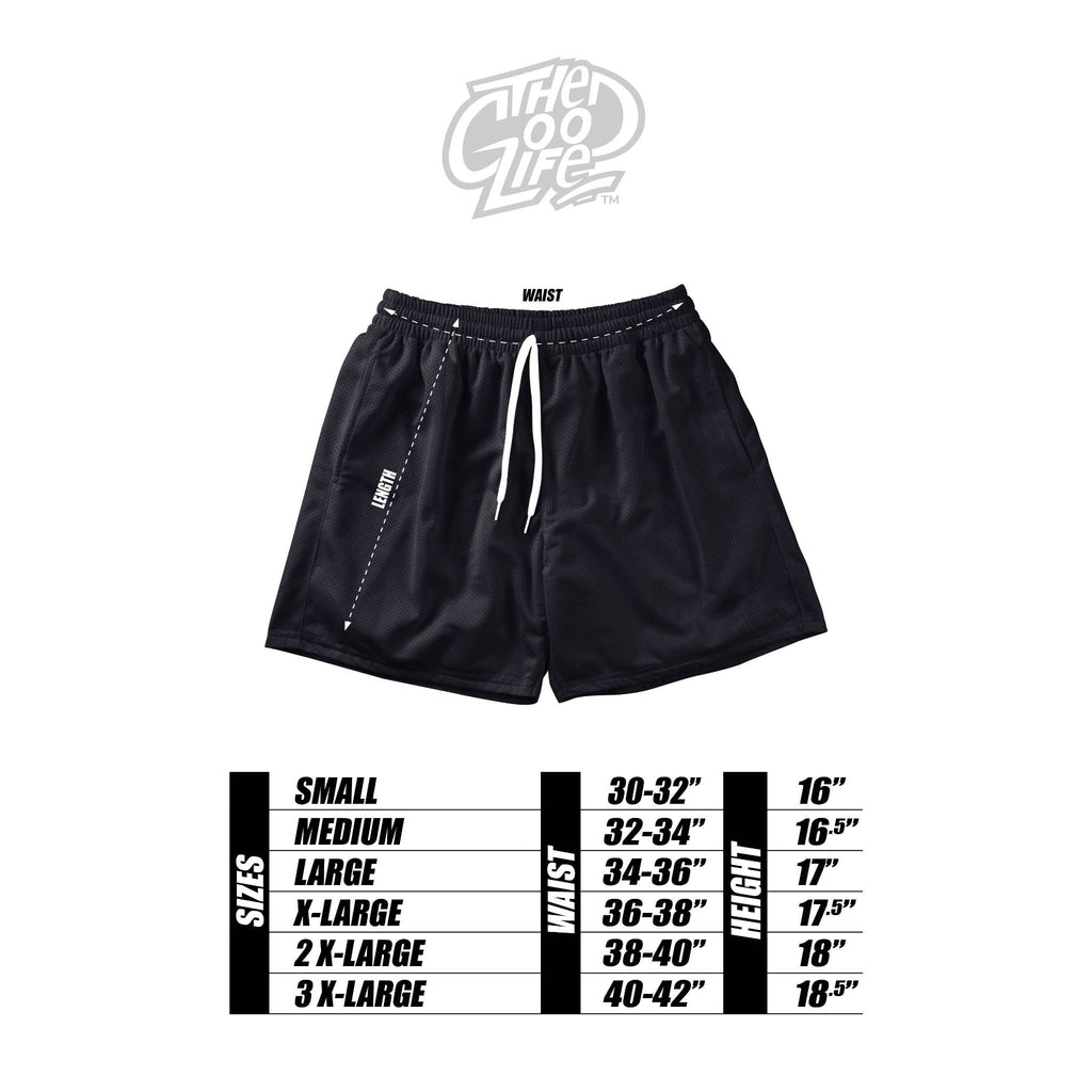 SPLIT LOGO (BLUE) MESH SHORTS