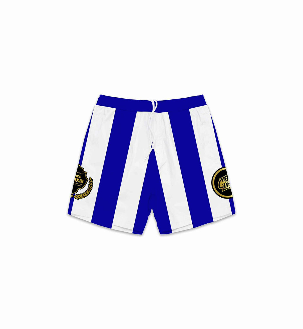 SKYLINE (BLUE) MESH SHORTS