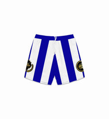 SKYLINE (BLUE) MESH SHORTS