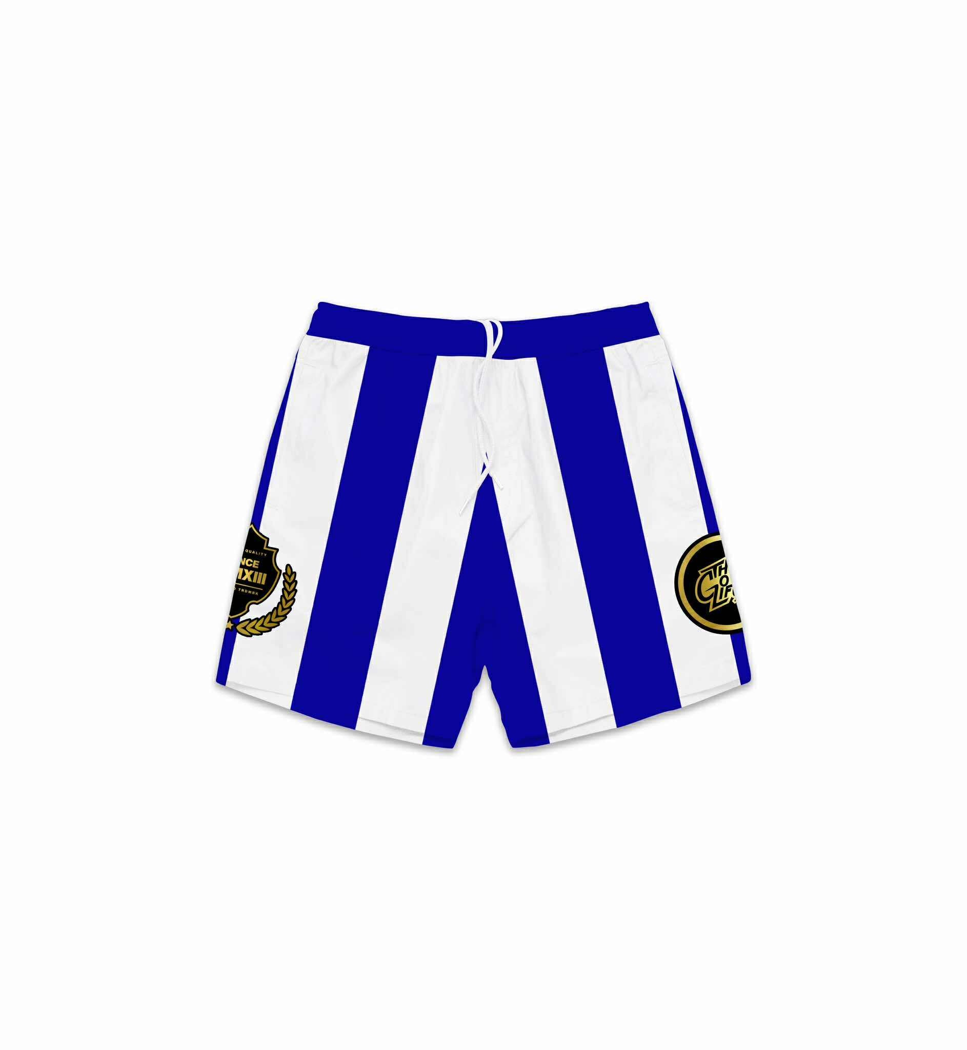 SKYLINE (BLUE) MESH SHORTS