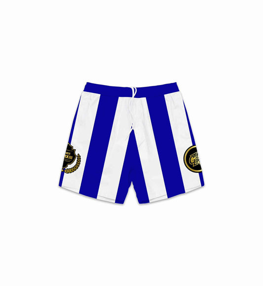 SKYLINE (BLUE) MESH SHORTS