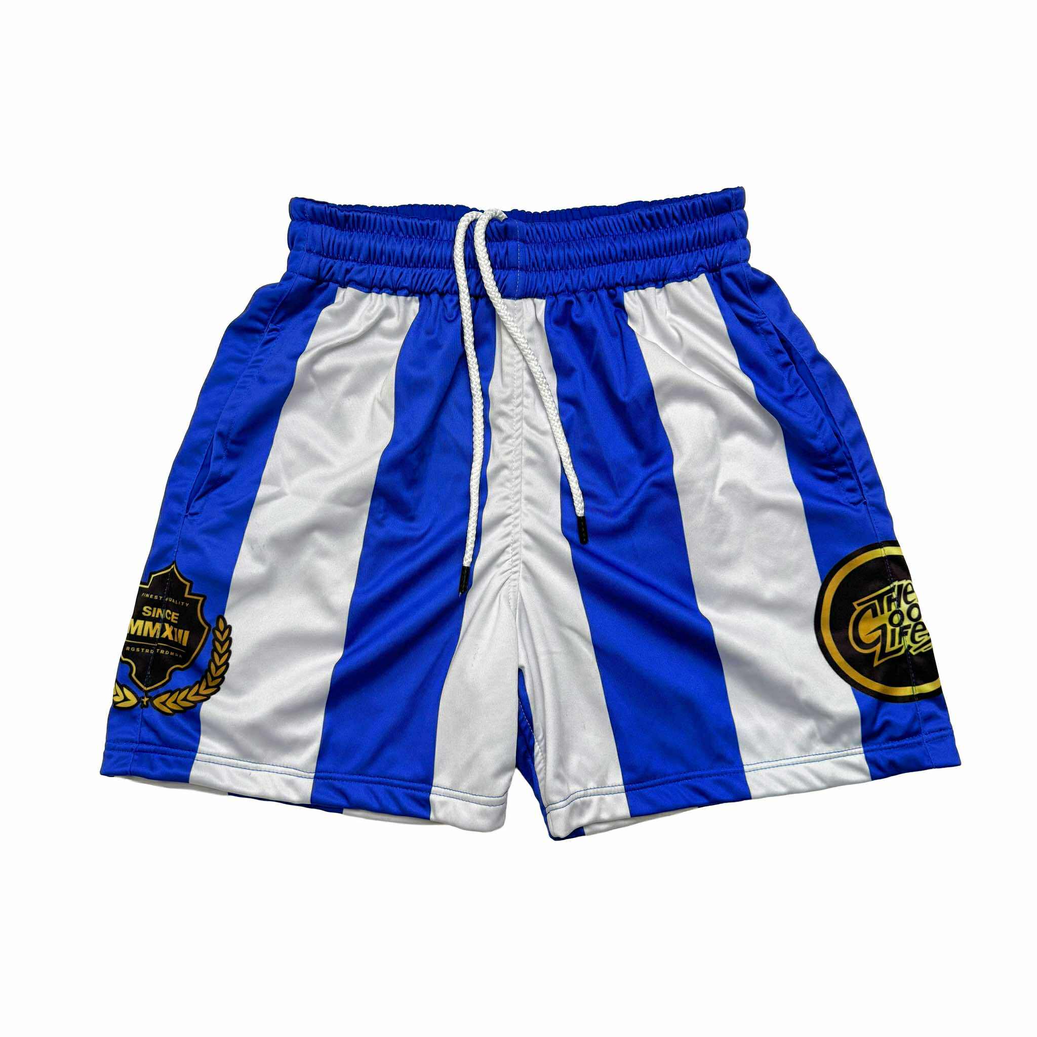 SKYLINE (BLUE) MESH SHORTS