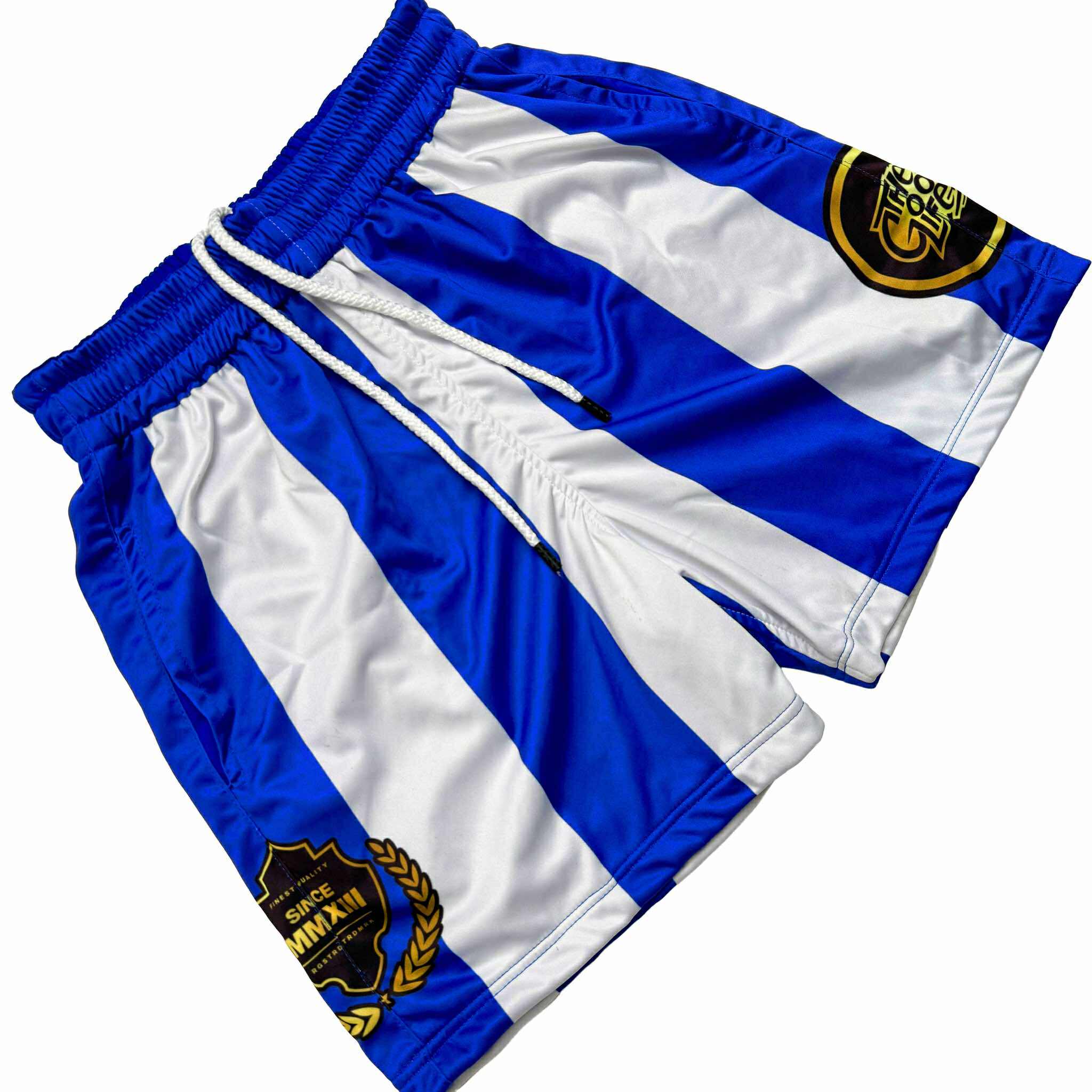 SKYLINE (BLUE) MESH SHORTS