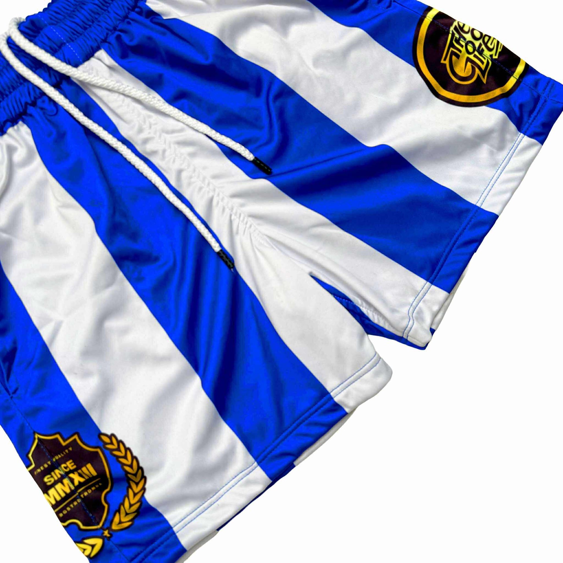 SKYLINE (BLUE) MESH SHORTS