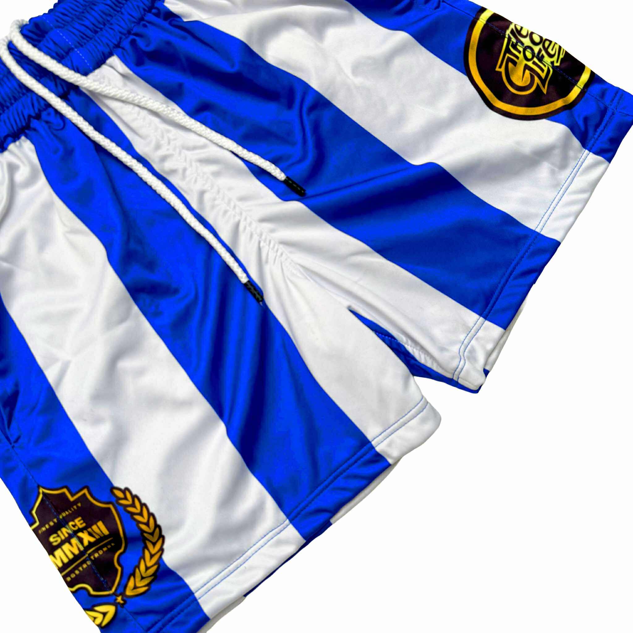 SKYLINE (BLUE) MESH SHORTS