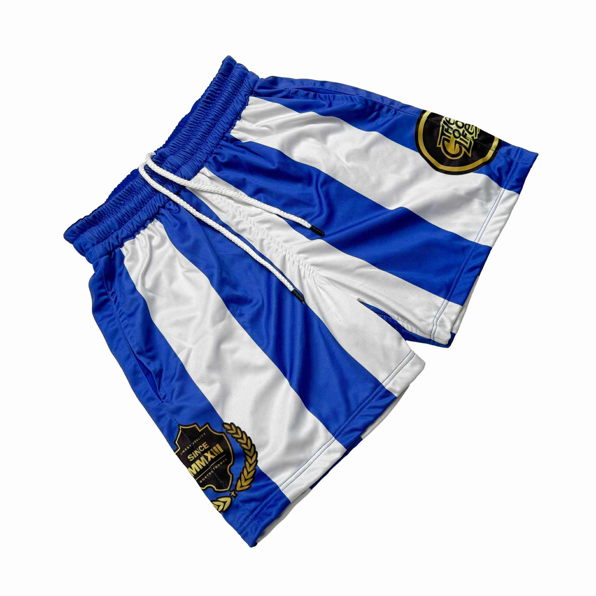 SKYLINE (BLUE) MESH SHORTS