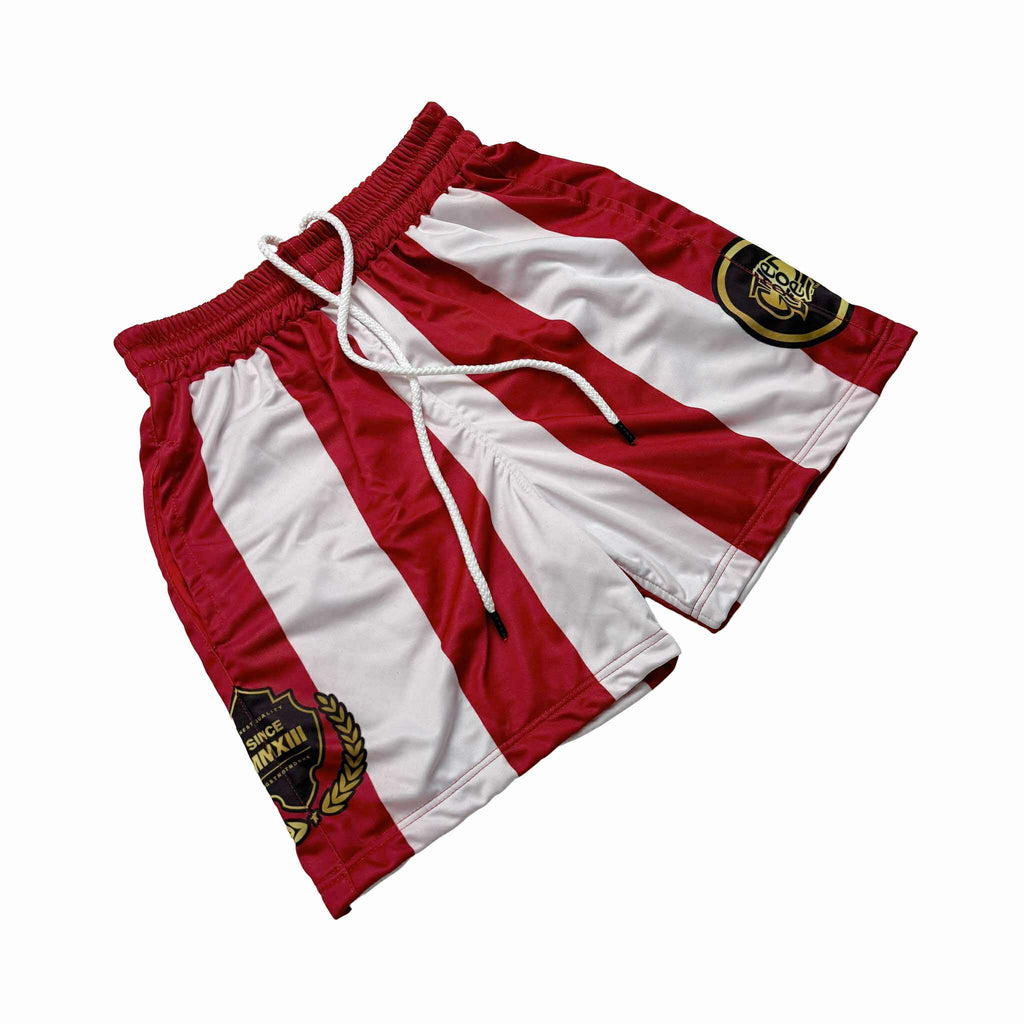 SKYLINE (RED) MESH SHORTS