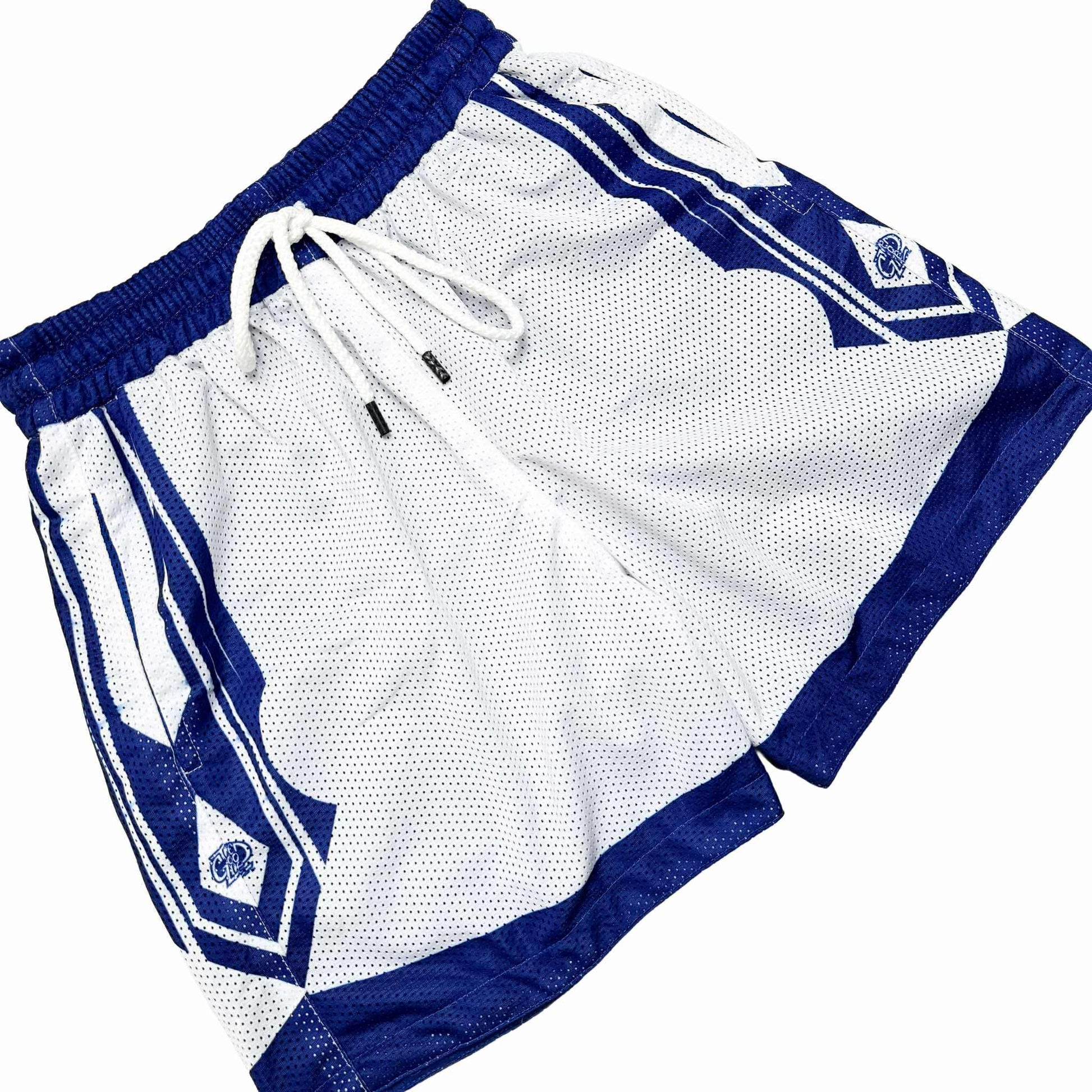 SPEAR V2 (BLUE) MESH SHORTS