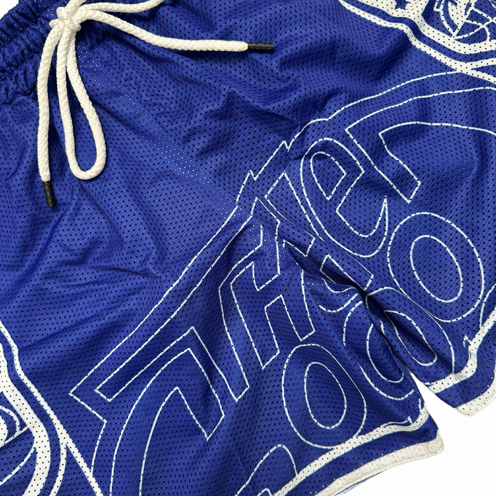SPLIT LOGO (BLUE) MESH SHORTS