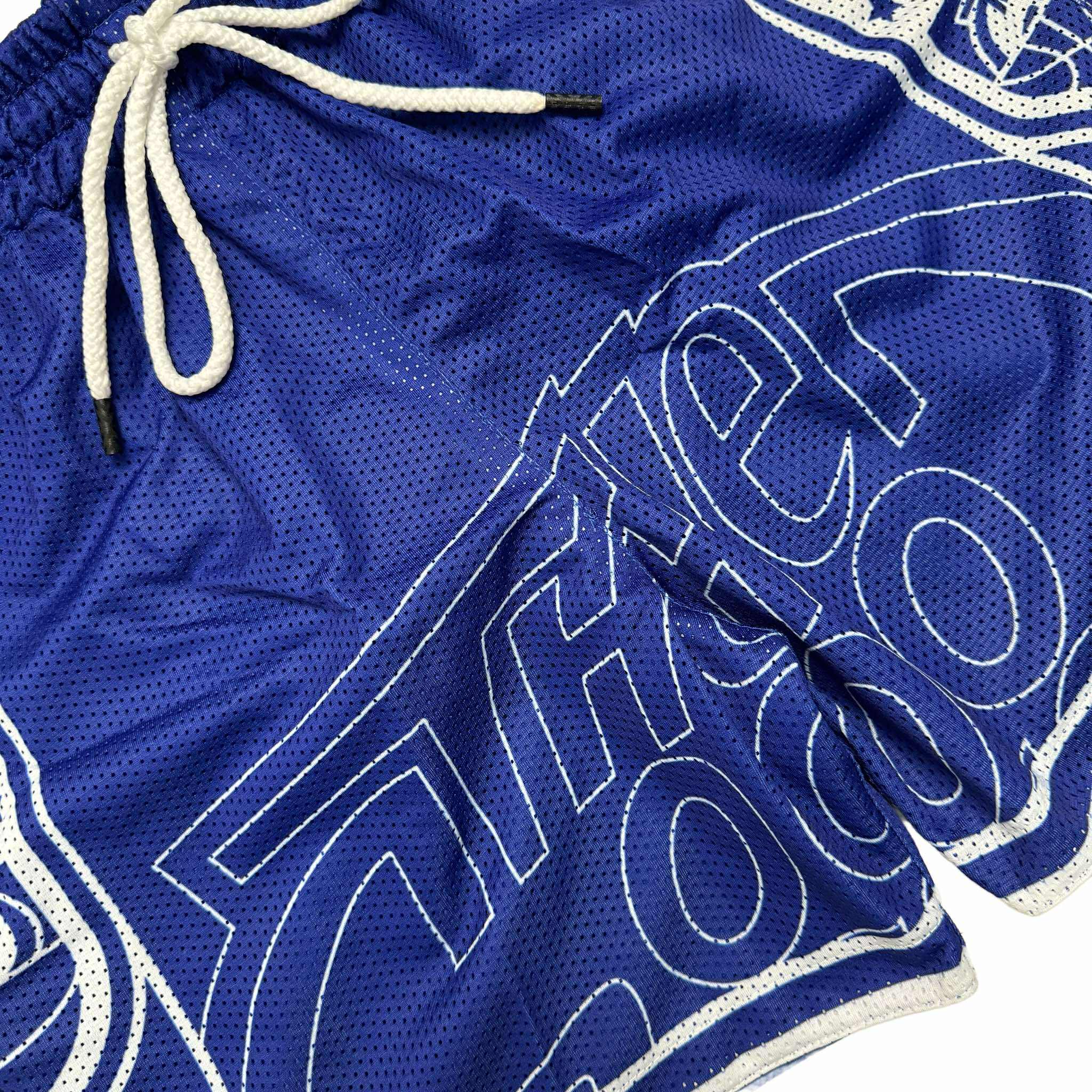 SPLIT LOGO (BLUE) MESH SHORTS