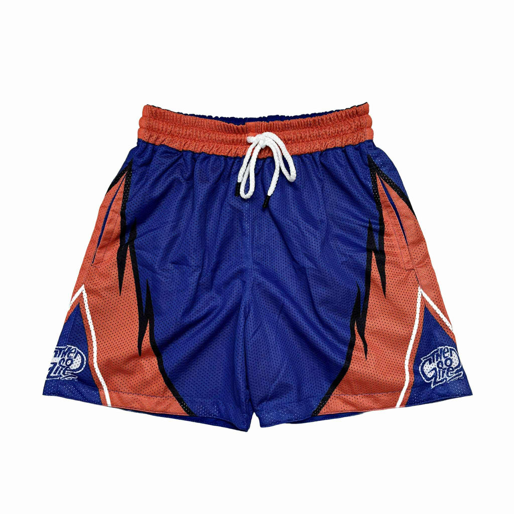 WILD WAVE (BLUE) MESH SHORTS
