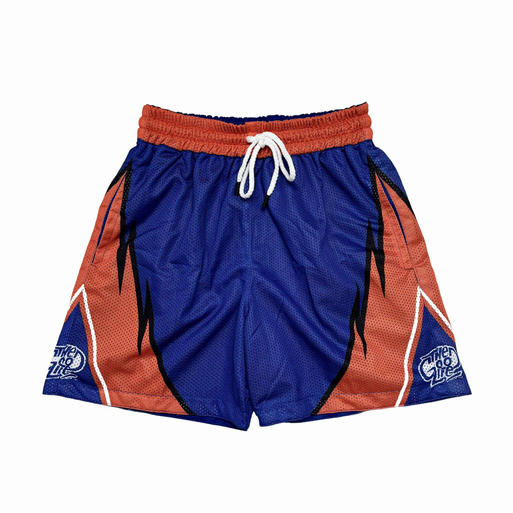 WILD WAVE (BLUE) MESH SHORTS