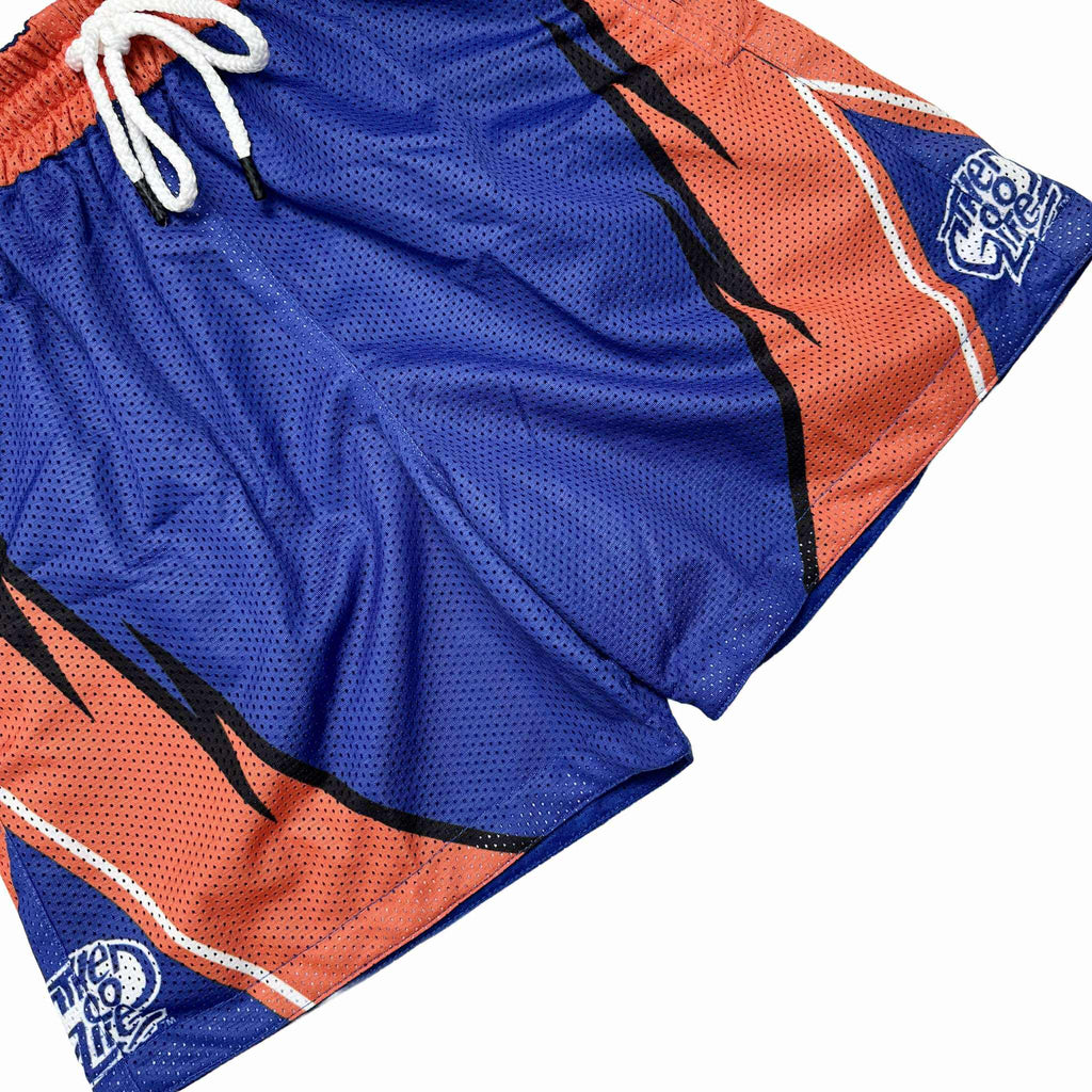 WILD WAVE (BLUE) MESH SHORTS