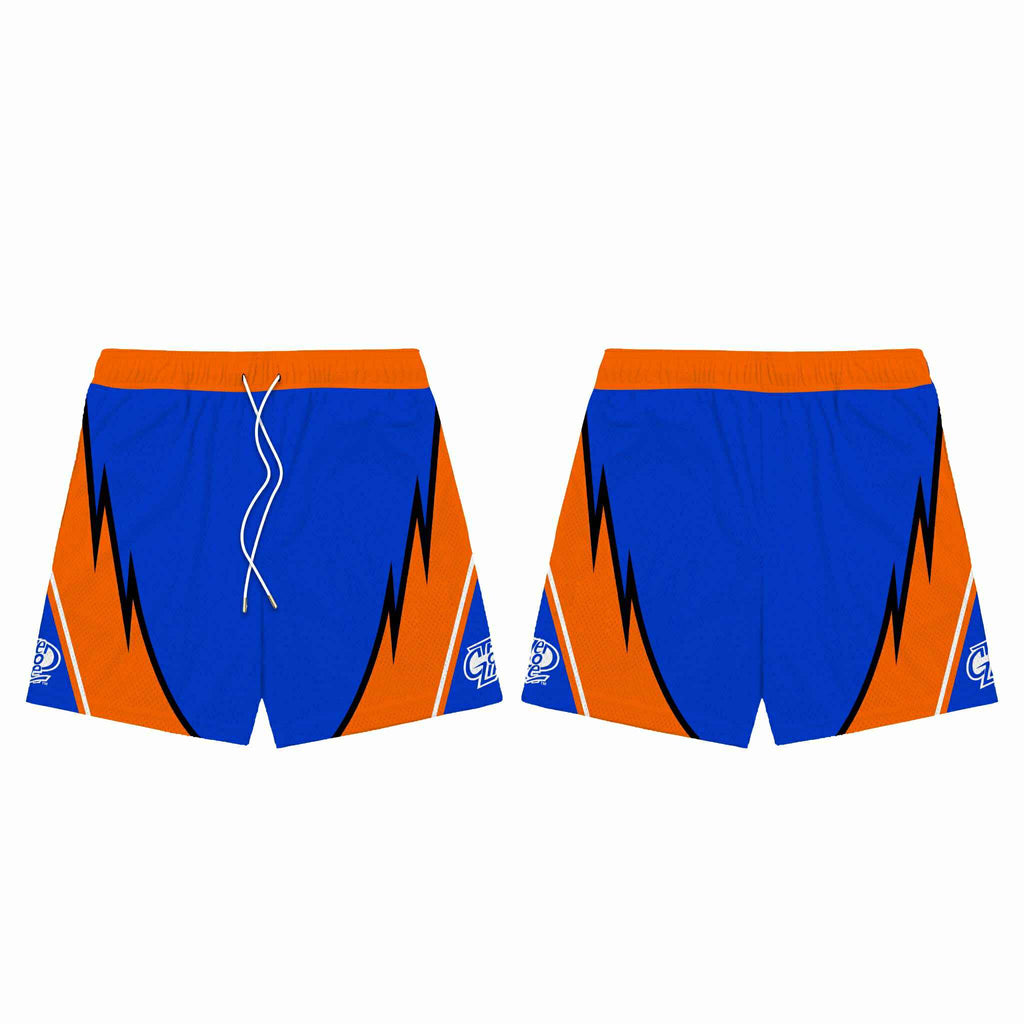 WILD WAVE (BLUE) MESH SHORTS
